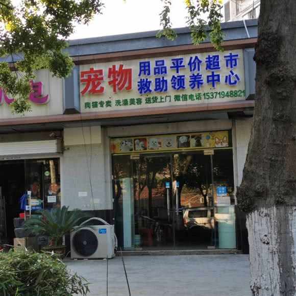 宠物:南通市通州区