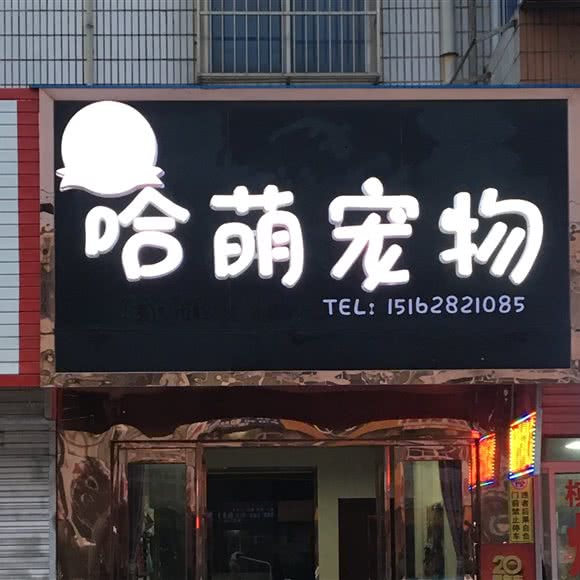 哈萌宠物:南通市通州区