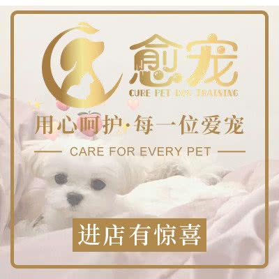愈宠训犬(NO.001店):北京城区朝阳区百子湾附近