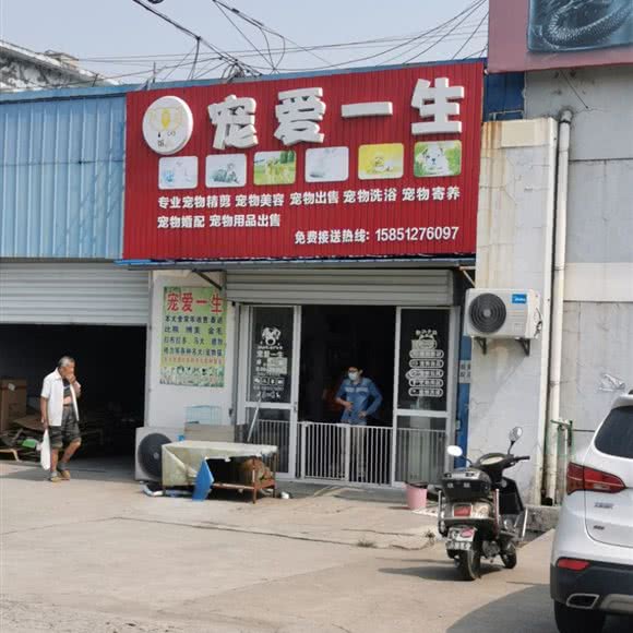 宠爱一生:南通市通州区