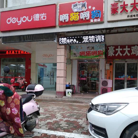 啊猴子啊狗宠物店:南通市通州区