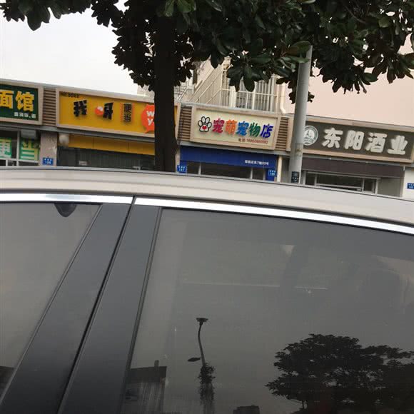 宠萌宠物店:南通市通州区