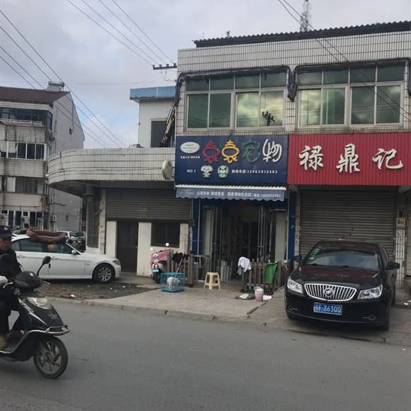 袁袁宠物狗:南通市通州区