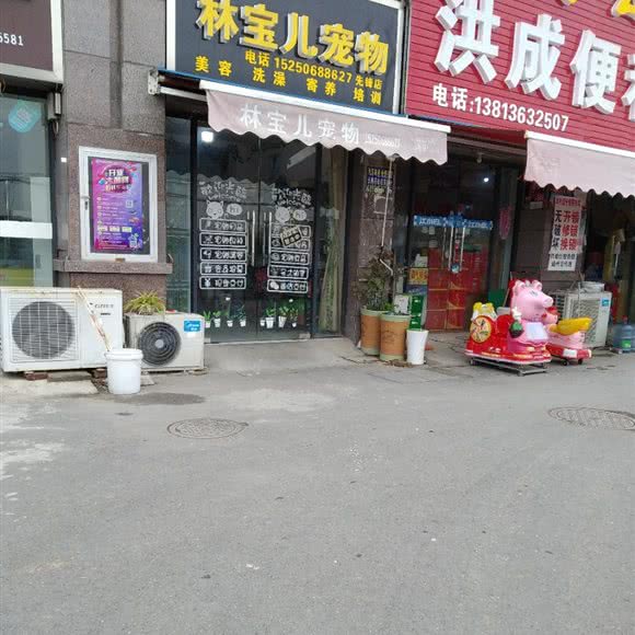 林宝儿宠物(先锋店):南通市通州区