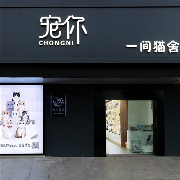 宠你 一间猫舍:南通市通州区