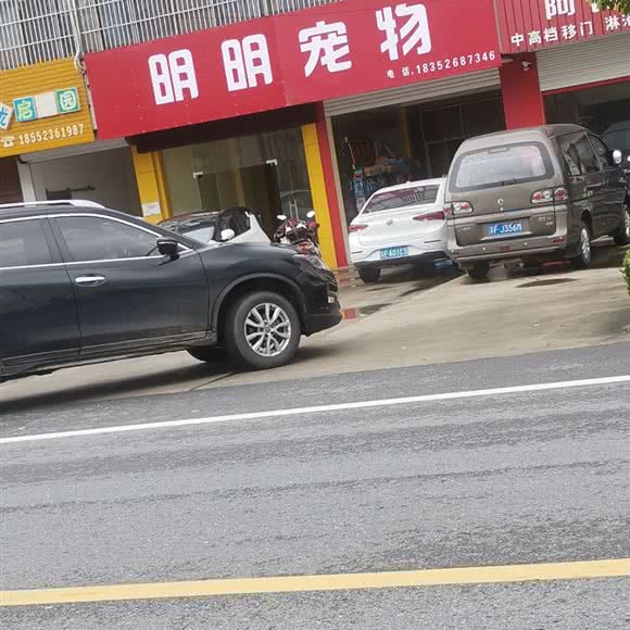 明明宠物:南通市如东县