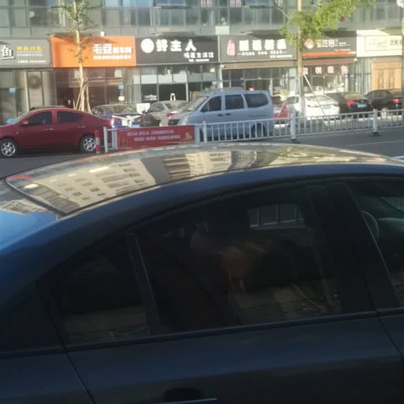 好主人喵屋生活馆:南通市如东县