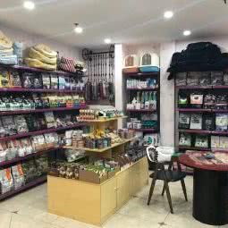 嗨宠俱乐部:北京城区朝阳区百子湾附近