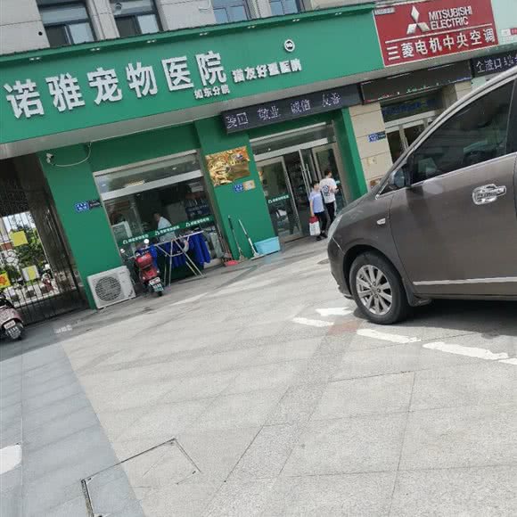 诺雅宠物医院(如东分院):南通市如东县