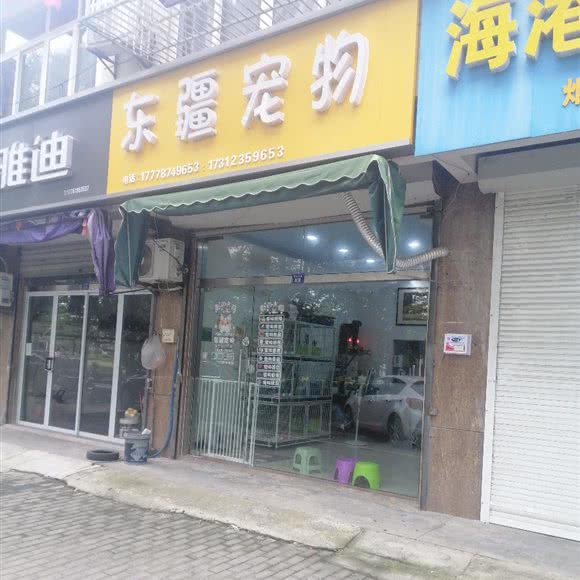 东疆宠物:南通市启东市
