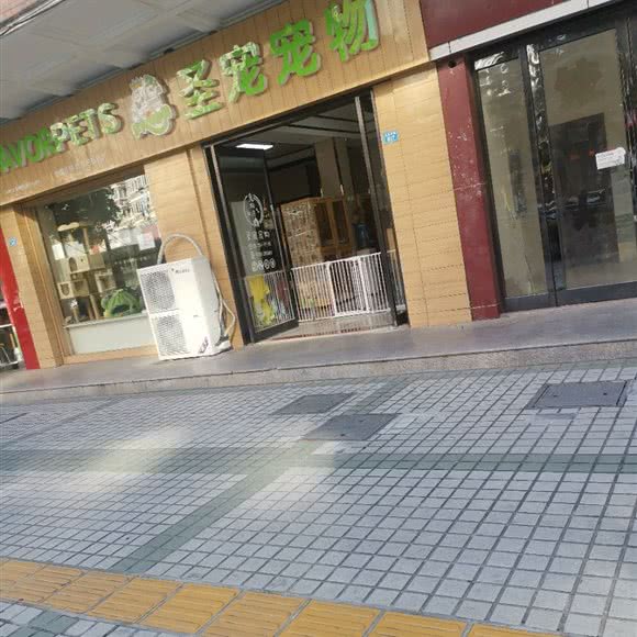 圣宠宠物(启东名都苑店):南通市启东市