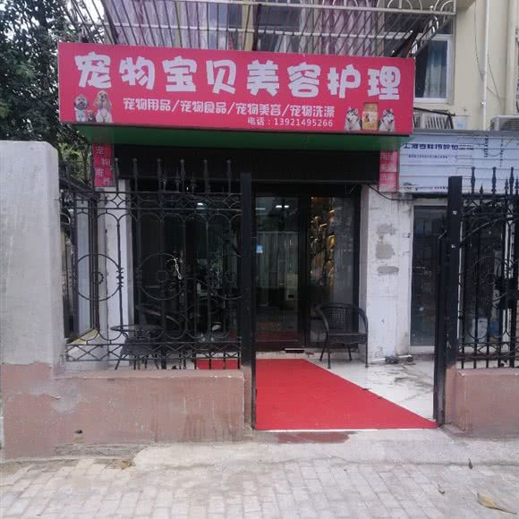 宠物宝贝美容护理:南通市启东市