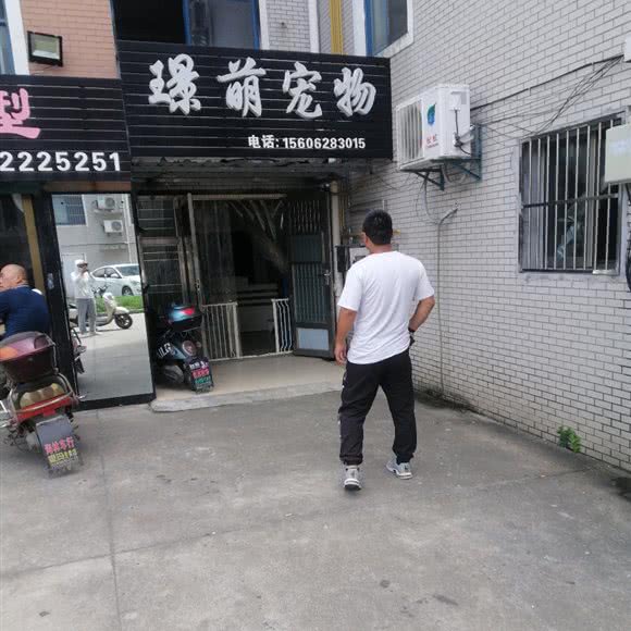 璟萌宠物:南通市启东市