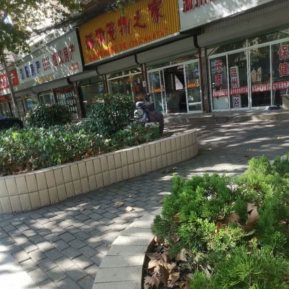酷狗宠物之家:南通市启东市