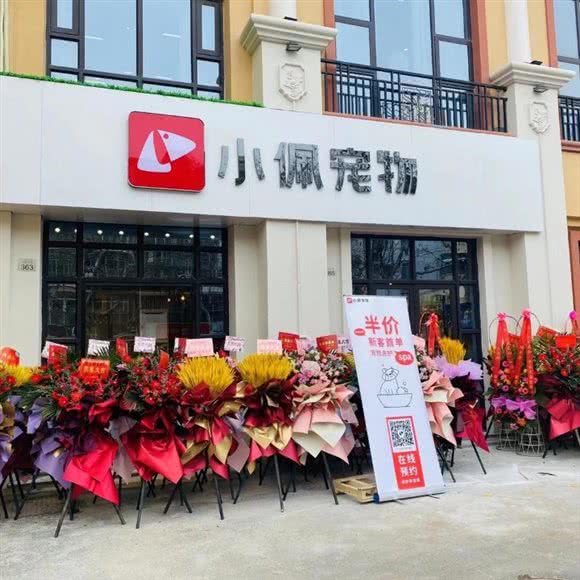 小佩宠物 希德广场店:南通市启东市