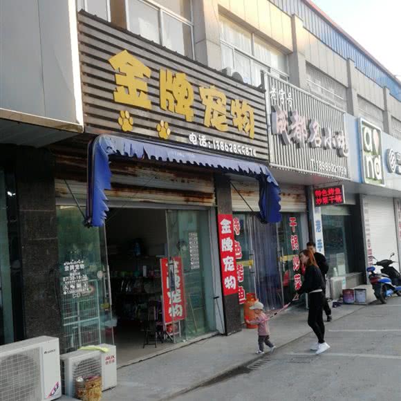金牌宠物:南通市启东市