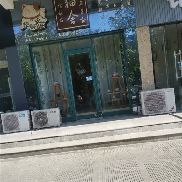 启东猫舍旗舰店:南通市启东市