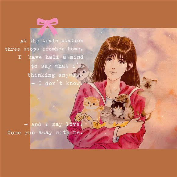 宠饵:北京城区朝阳区百子湾附近