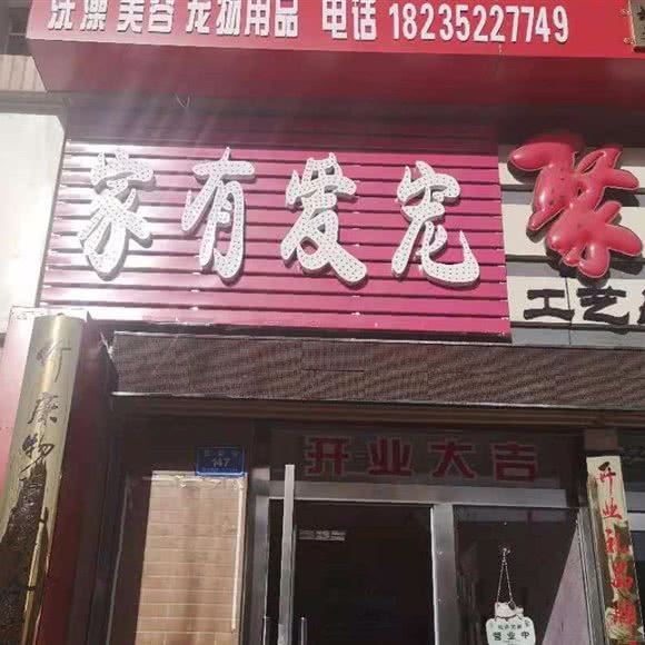 家有爱宠:大同市平城区魏都新城附近