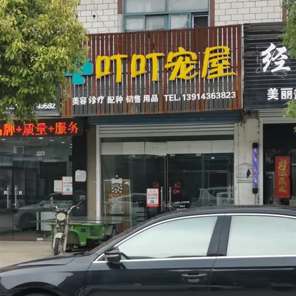 叮叮宠屋:南通市如皋市