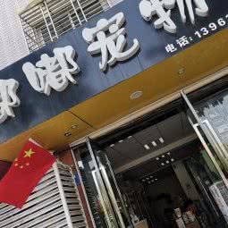 嘟嘟宠物会所:南通市如皋市