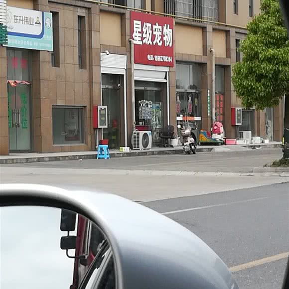 星级宠物:南通市如皋市