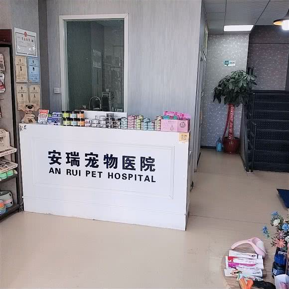 安瑞宠物医院:大同市平城区伦敦街附近