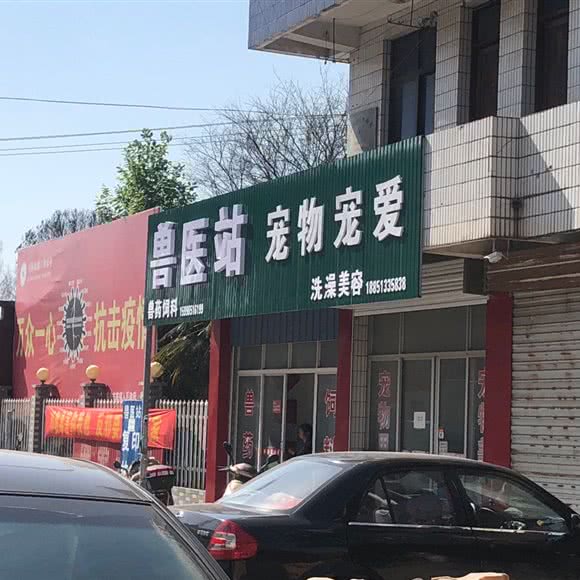 宠物宠爱(雪岸店):南通市如皋市