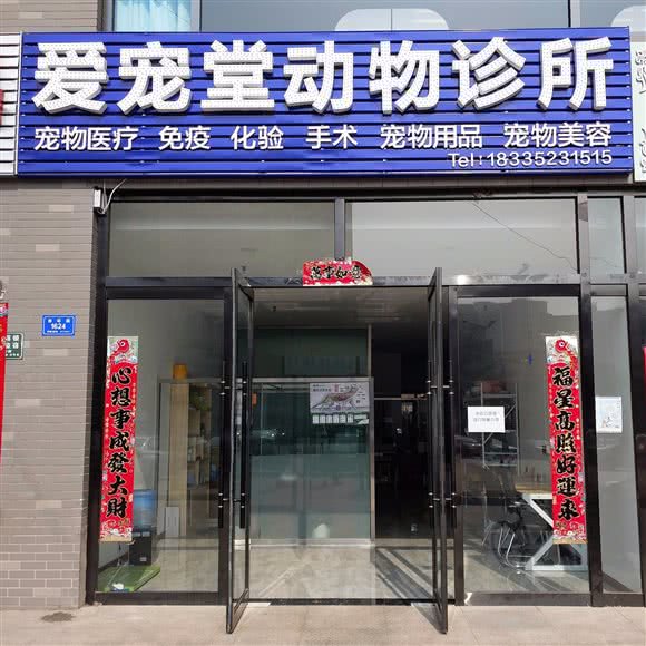 爱宠堂动物诊所:大同市平城区西环路南附近