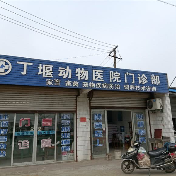 丁堰动物医院门诊:南通市如皋市