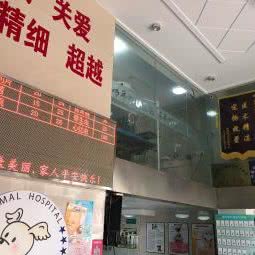 瑞丰动物医院:南通市海安市