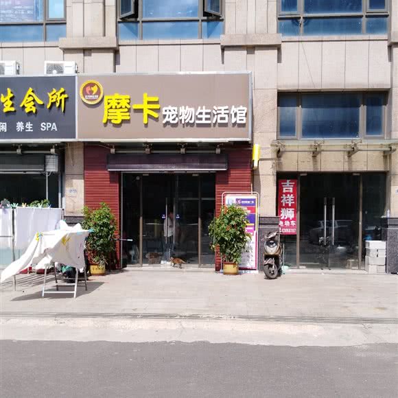 摩卡宠物生活馆:连云港市连云区