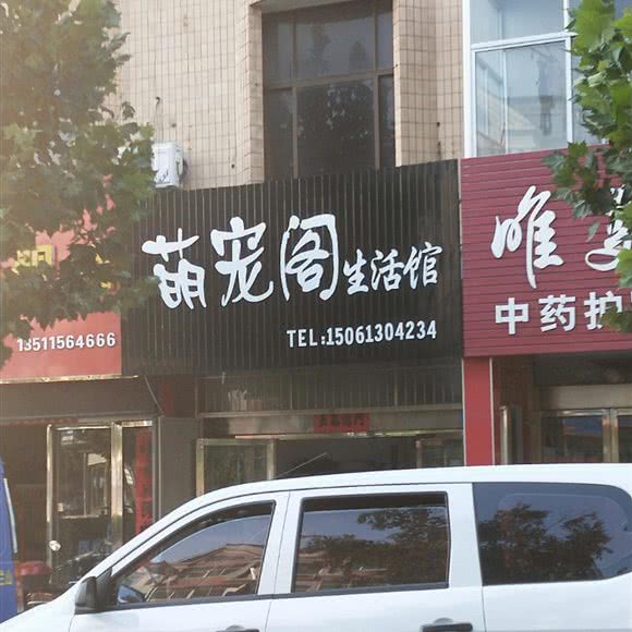 萌宠阁生活馆:连云港市连云区