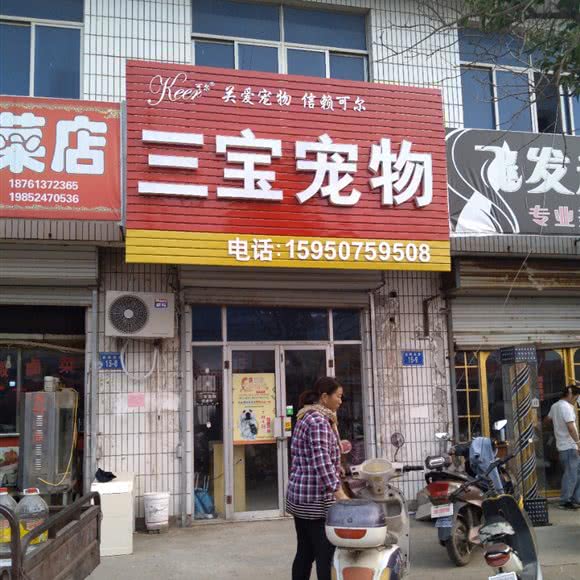 三宝宠物:连云港市连云区