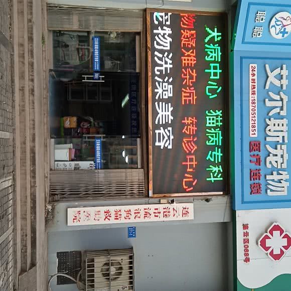 连云港市流浪狗猫救助医院:连云港市连云区