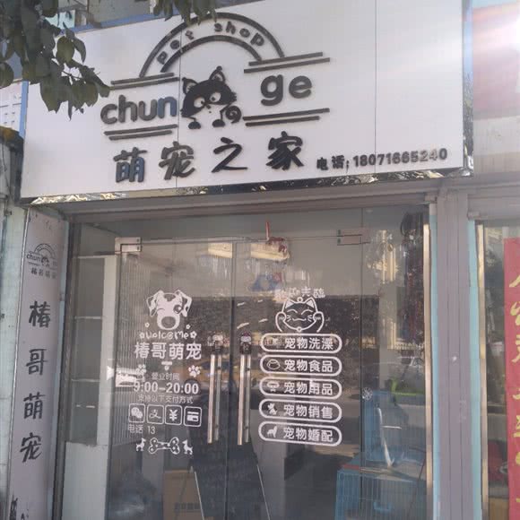 萌宠之家:连云港市海州区