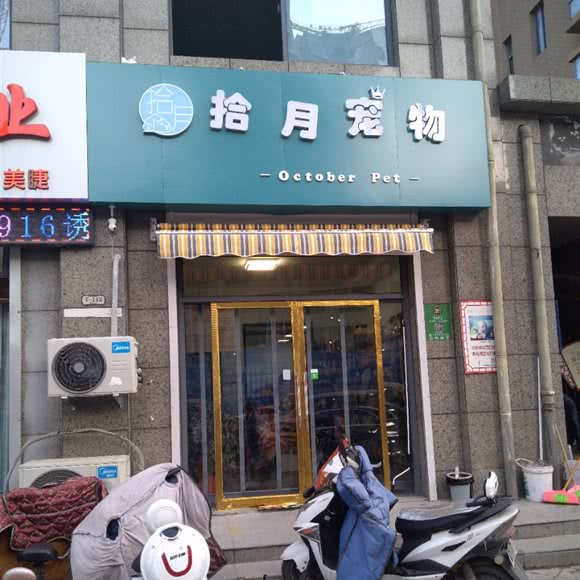 拾同月宠物:连云港市海州区