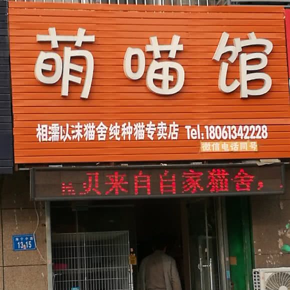 萌喵馆:连云港市海州区