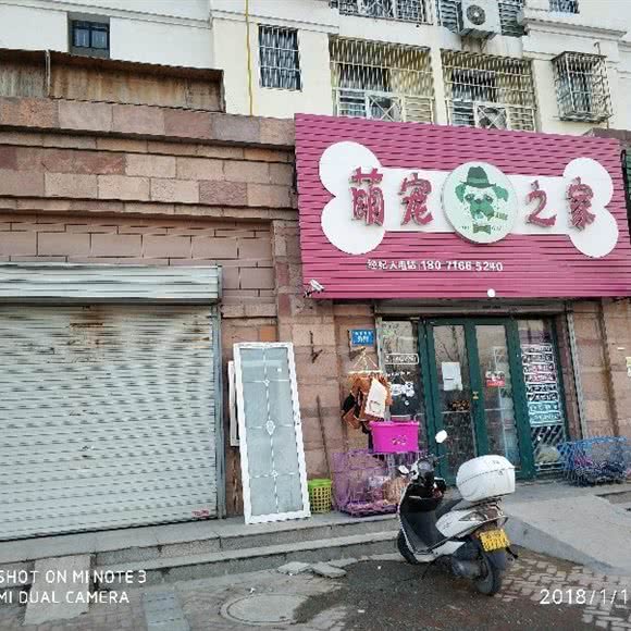 萌宠之家:连云港市海州区