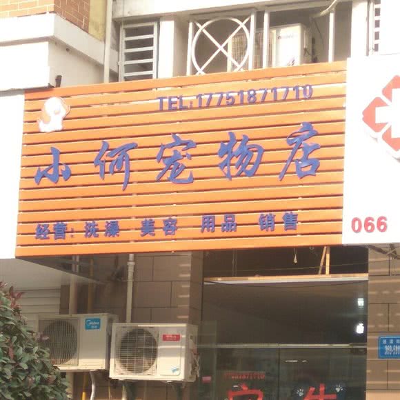 小何宠物店:连云港市海州区