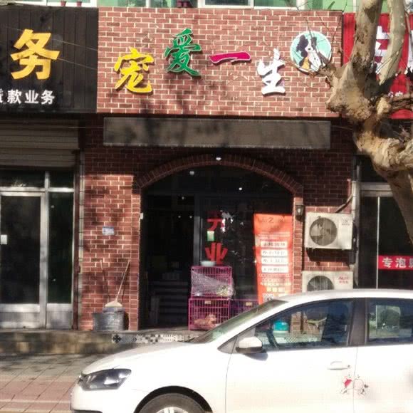 宠爱一生:连云港市赣榆区