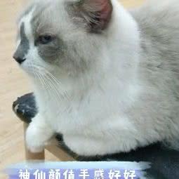 恋尚狗咖:连云港市赣榆区