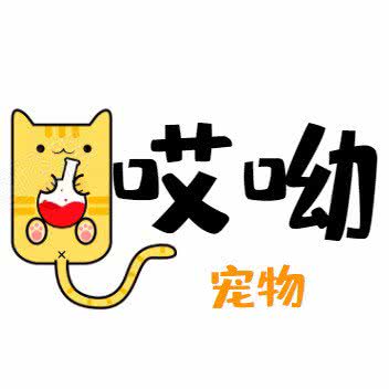 哎you宠物:连云港市赣榆区