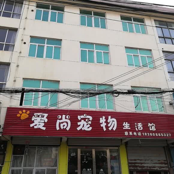 爱尚宠物生活馆:连云港市东海县