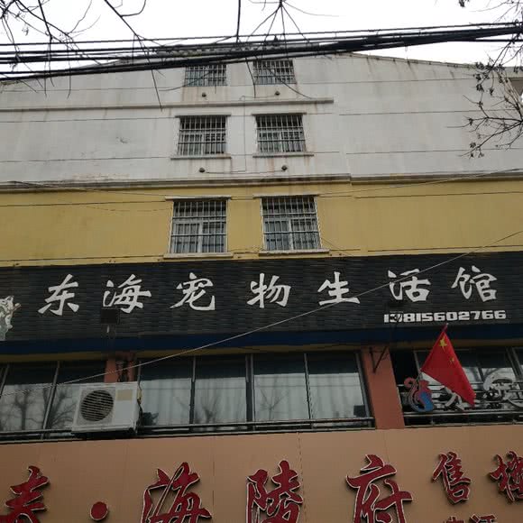 东海宠物生活馆:连云港市东海县