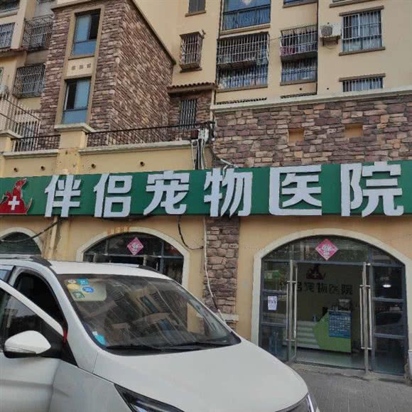 伴侣宠物医院:连云港市东海县
