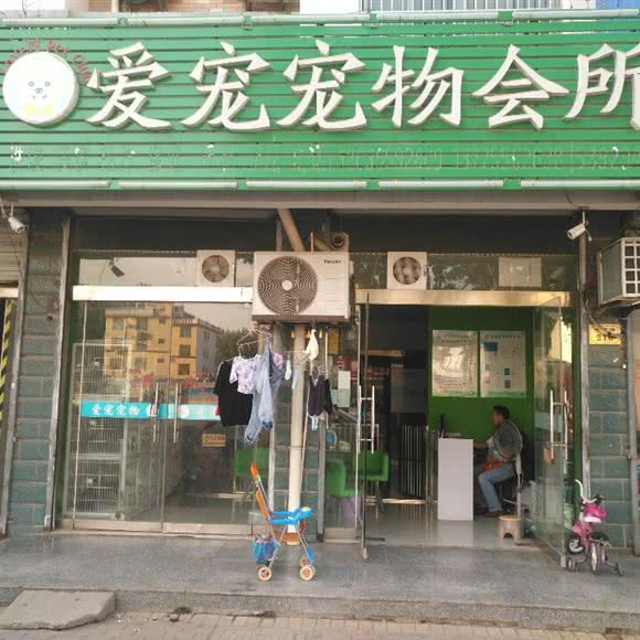 爱宠宠物会所:连云港市灌云县