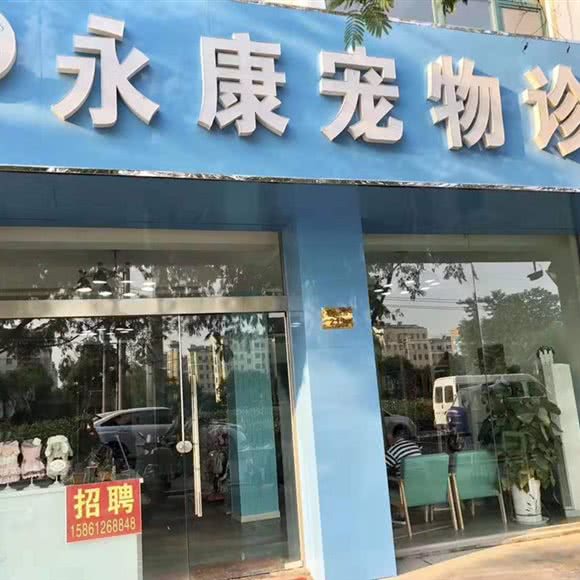 永康宠物诊所:连云港市灌云县