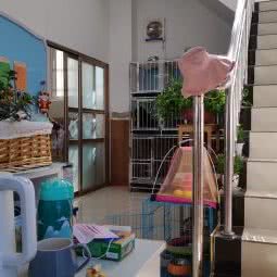 大朱宠物生活馆:连云港市灌南县