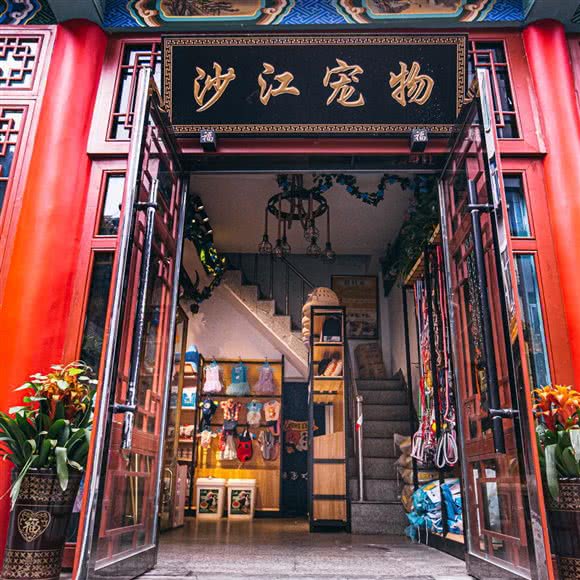 沙江宠物:阳泉市城区天桥商业区附近